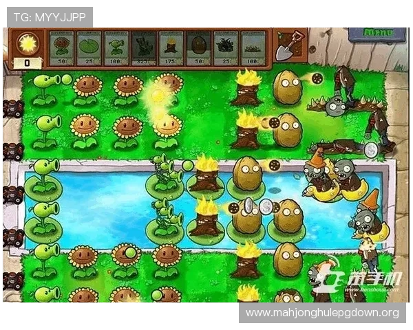 壹号娱乐PG官方网站提供的游戏种类与玩法攻略全解析